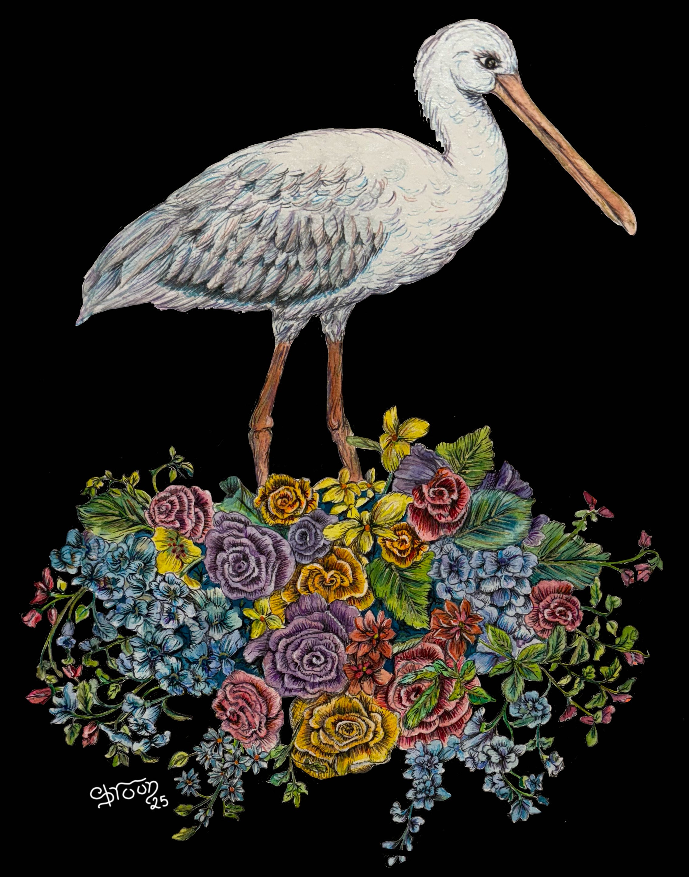 Small Crane, Limited Edition Archival Print,