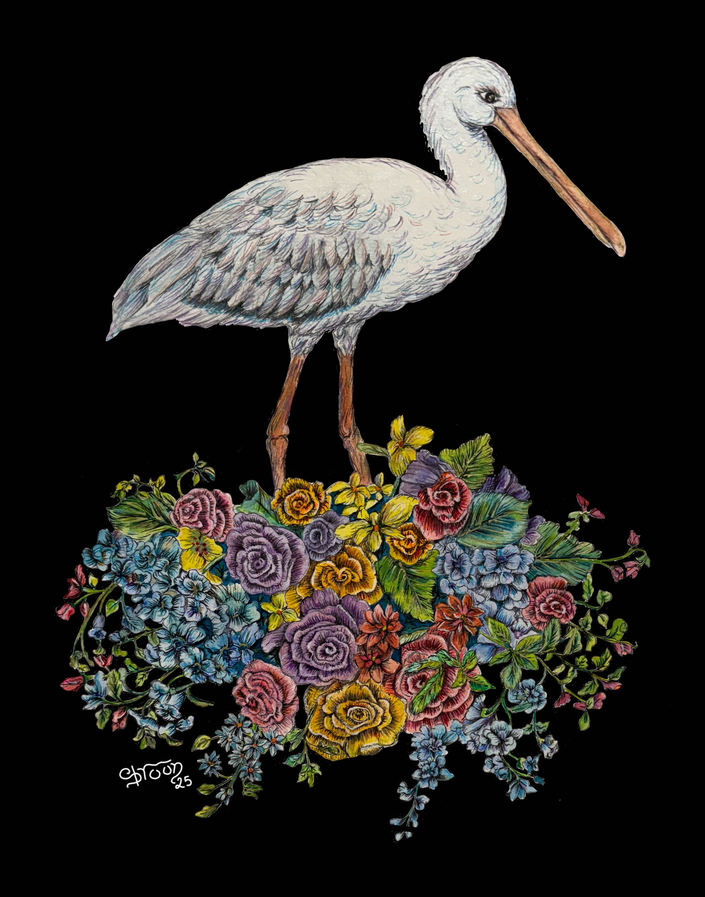 Baby Crane, Signed Limited edition, Archival Print