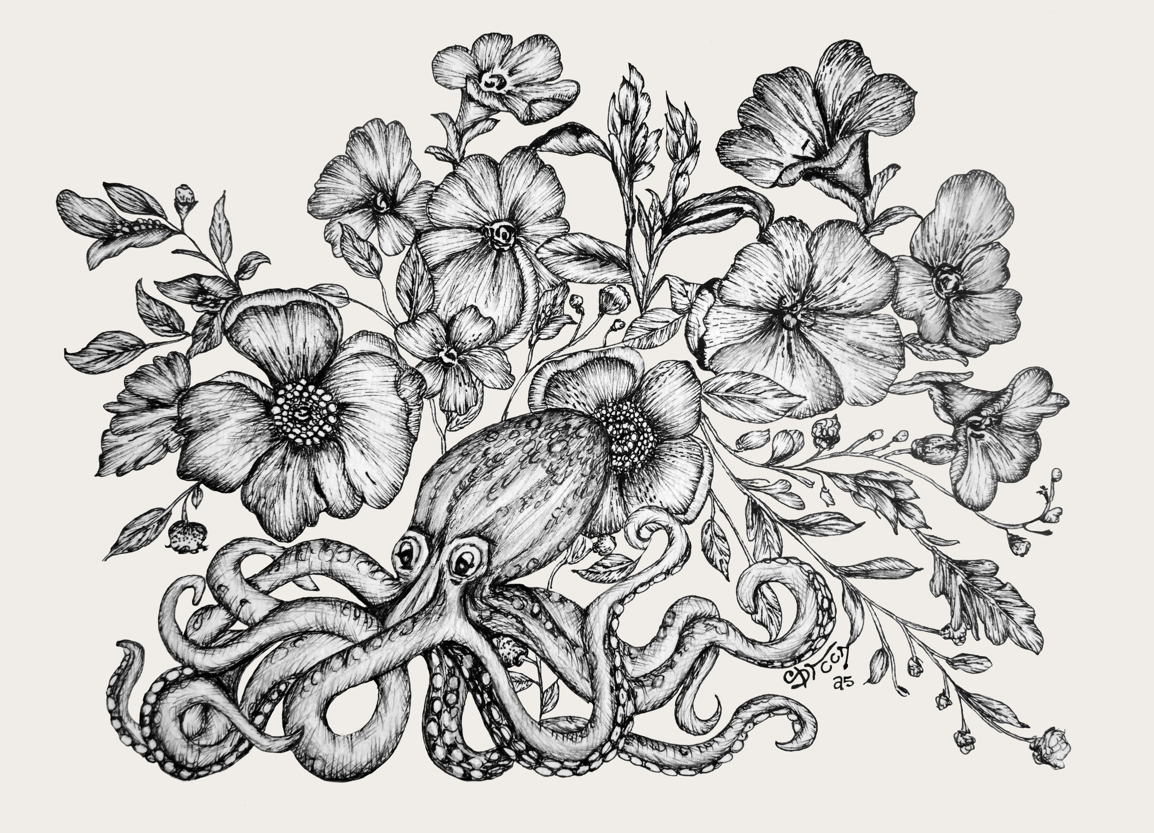 Pulpo,  Limited Edition Signed Archival Print